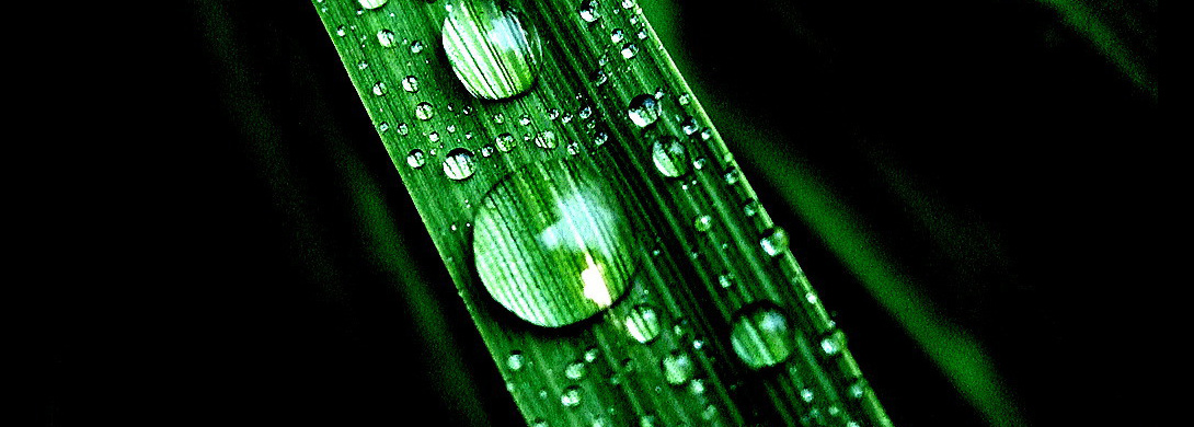 2709861494_483345197c_o.jpg